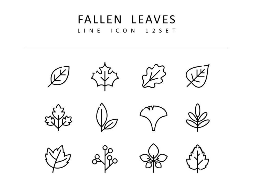 Fallen Leaves Icon Resources for Designers_01