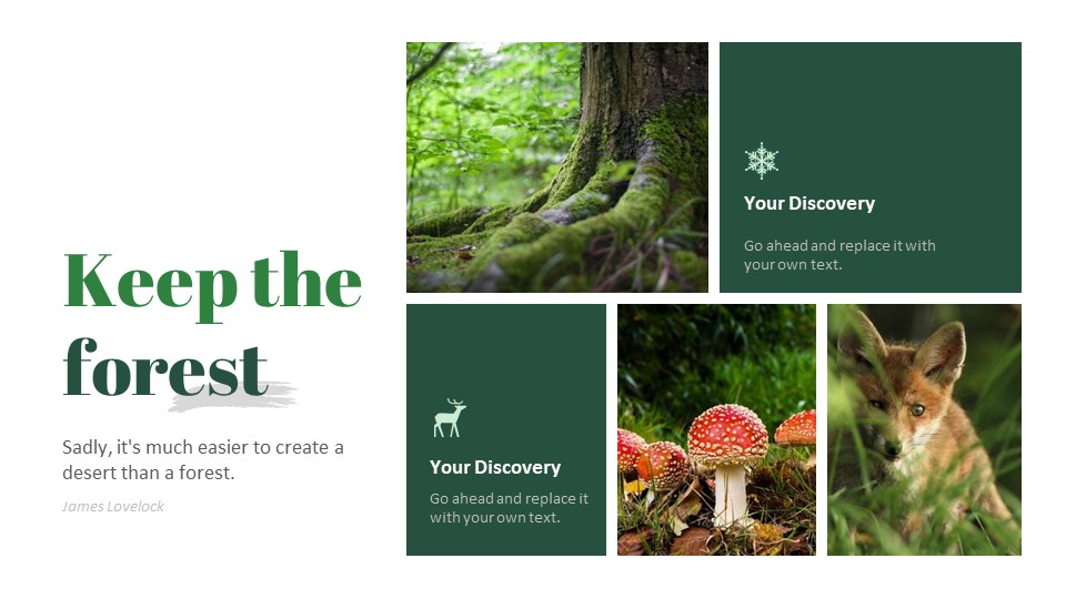 Forest Google Slides Template Design Forest Google Slides Template Design