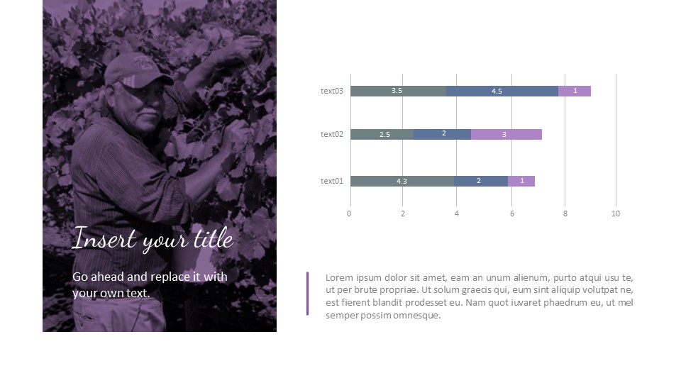 酒厂 谷歌幻灯片模板为您的下一次演示_03