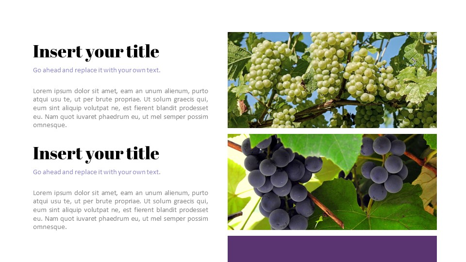 Winery Google Slides Templates for Your Next Presentation