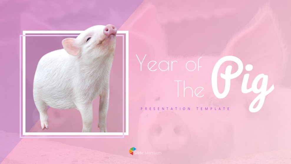 Year of The Pig Google Slides Themes_01