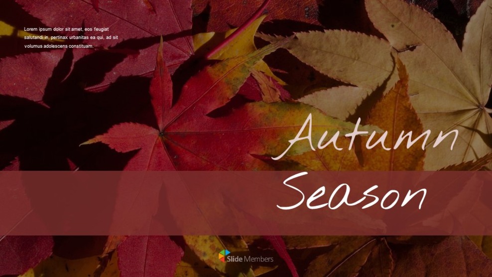 Autumn Season Google Slides Presentation Templates_01