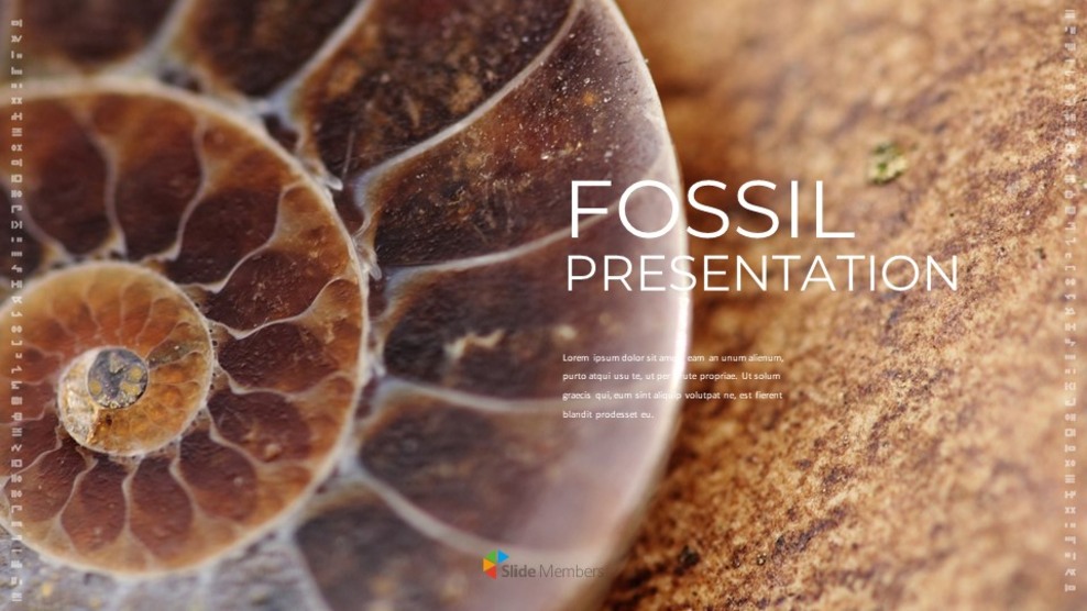 Fossile Semplici modelli di diapositive_01