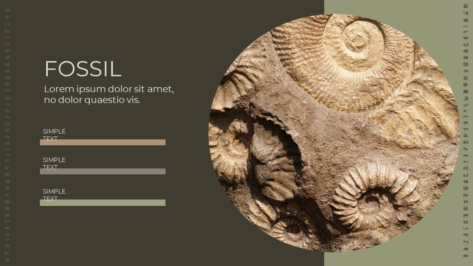 Fossil Simple Slides Templates