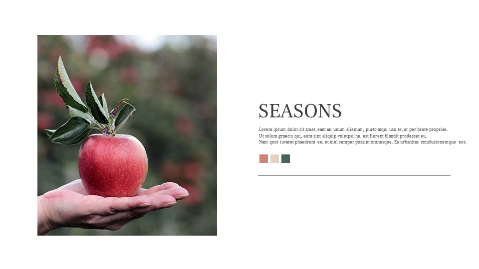 AUTUMN Simple Google Templates