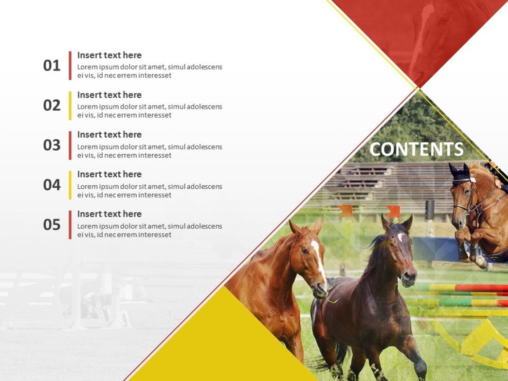 A Horse and Horseriding Free Google Slides themes