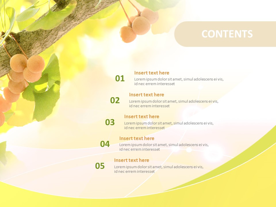 Google Slides Images Free Download - Ginkgo