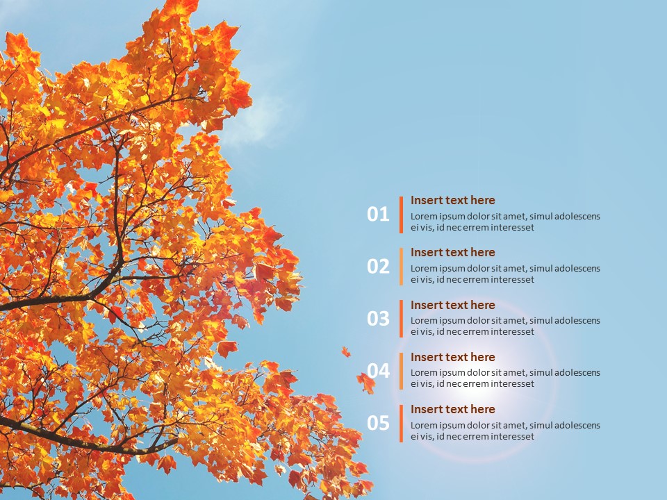 Maple in Fall - Google Slides Template Free Download_02