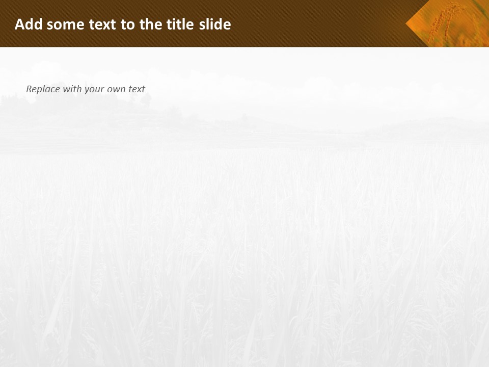 Free Google Slides Templates An Ear Of Rice Drooping