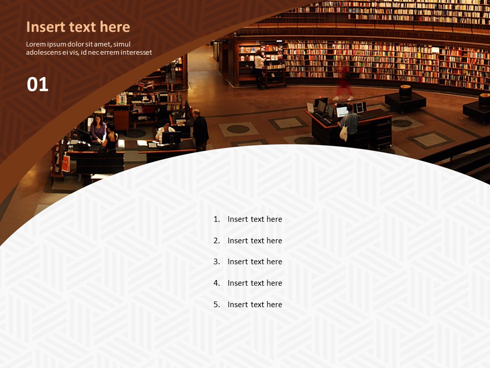 A Large Library Free Professional Google Slides Templates