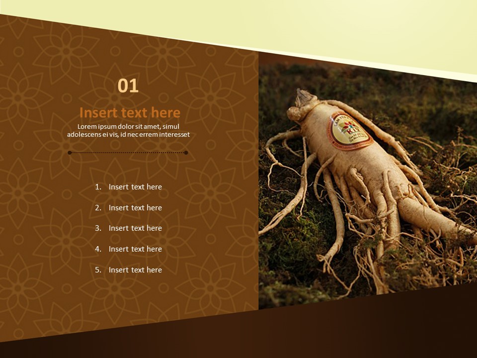 Google Slides online Free - Ginseng_03