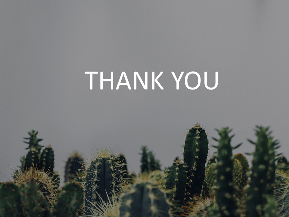 Free Presentation Template - Cactus