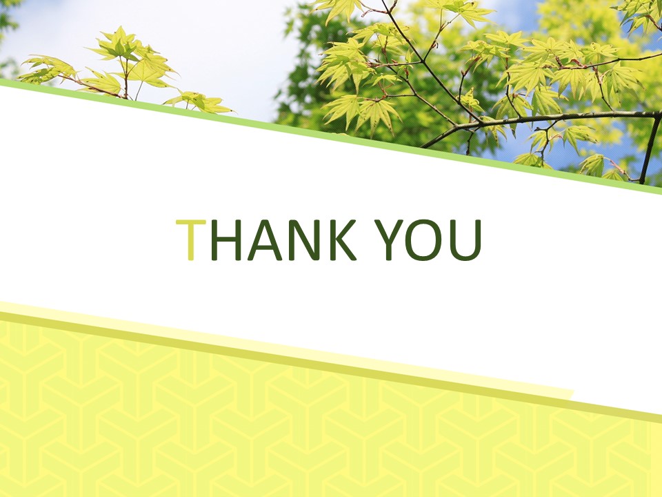 Google Slides Images Free Download - Green Leaves
