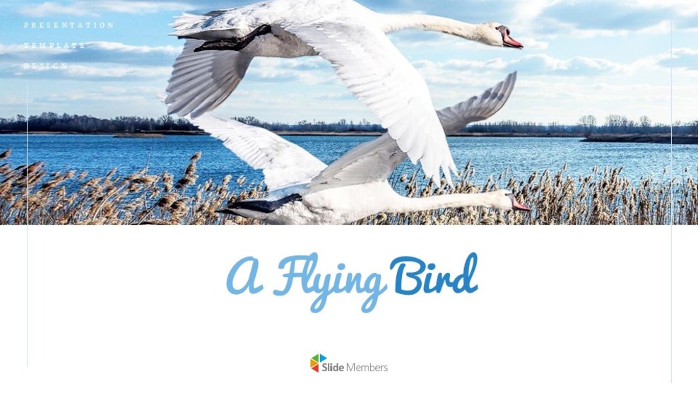 A Flying Bird Simple Google Slides Templates_01