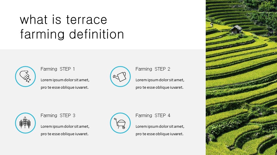 Vietnam Simple Presentation Google Slides Template