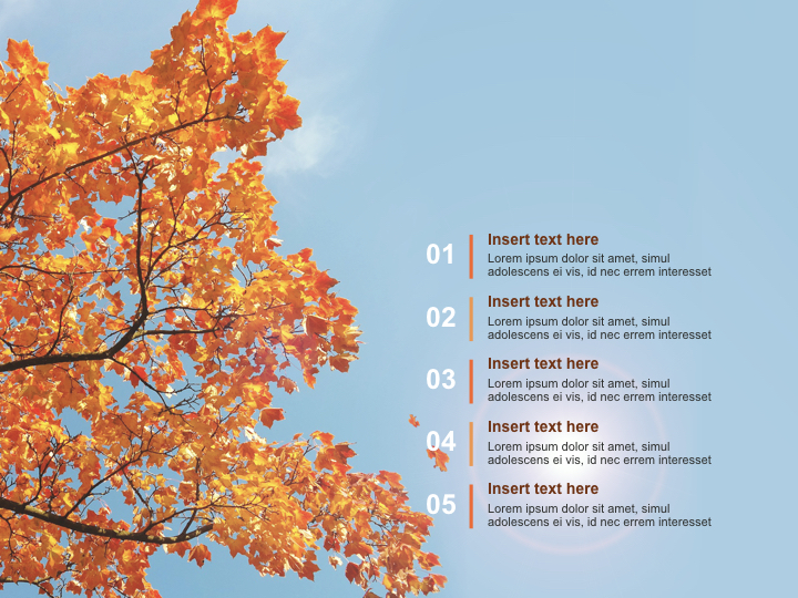Maple in Fall - Free Images for Presentations_02