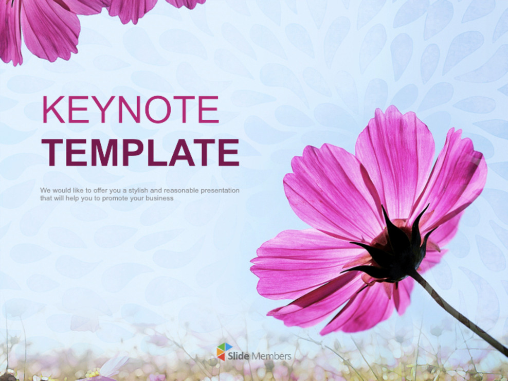 Plantilla de Keynote gratis - Pétalos del cosmos_01