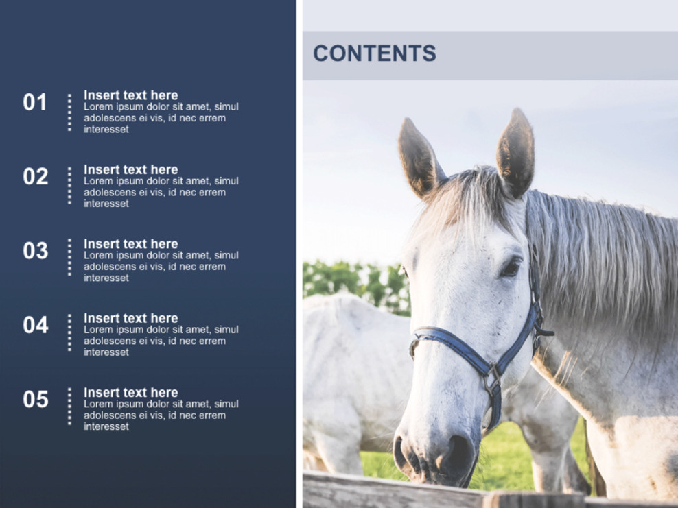 Free Keynote Templates White HorseSlides