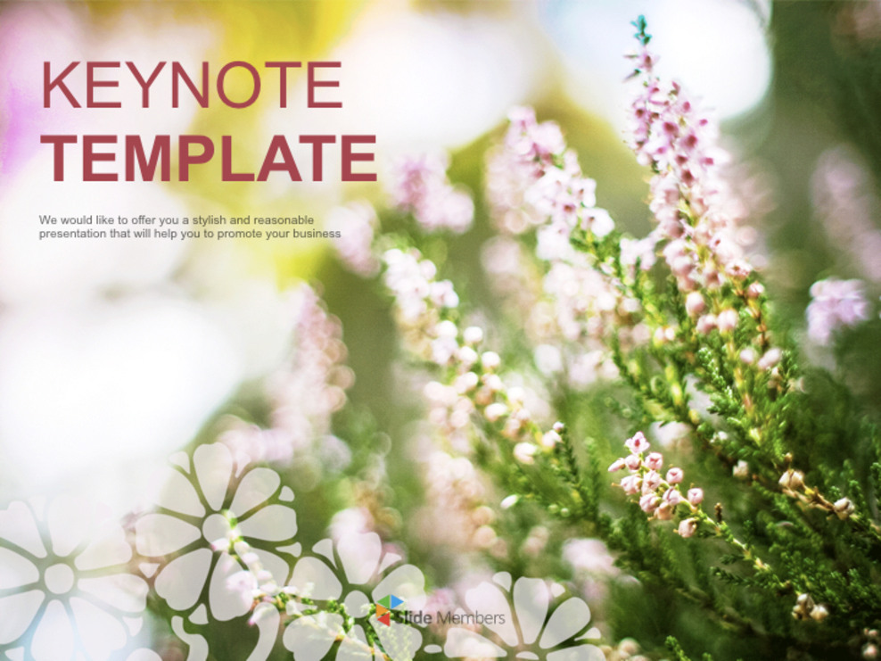 生花のつぼみ 無料キーノートのテンプレートをダウンロード