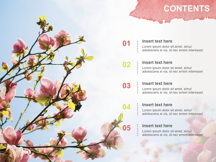Keynote Images Free Download - Magnolias in the Spring_02