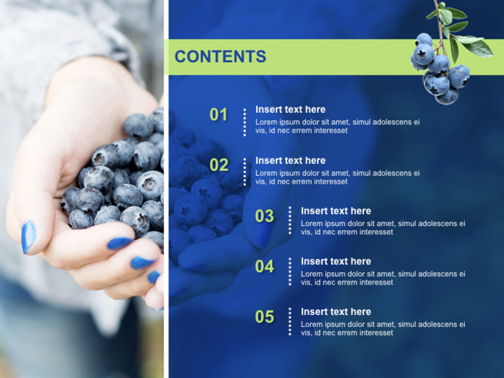 スーパーフードブルーベリー 無料キーノートテンプレート