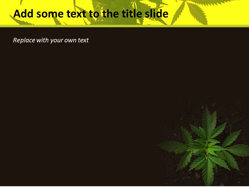 Marijuana Theme Free PPT Presentations