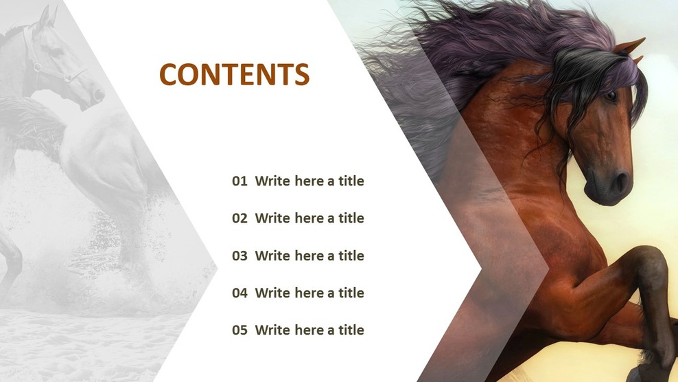 Free PPT Presentations Horse Riding