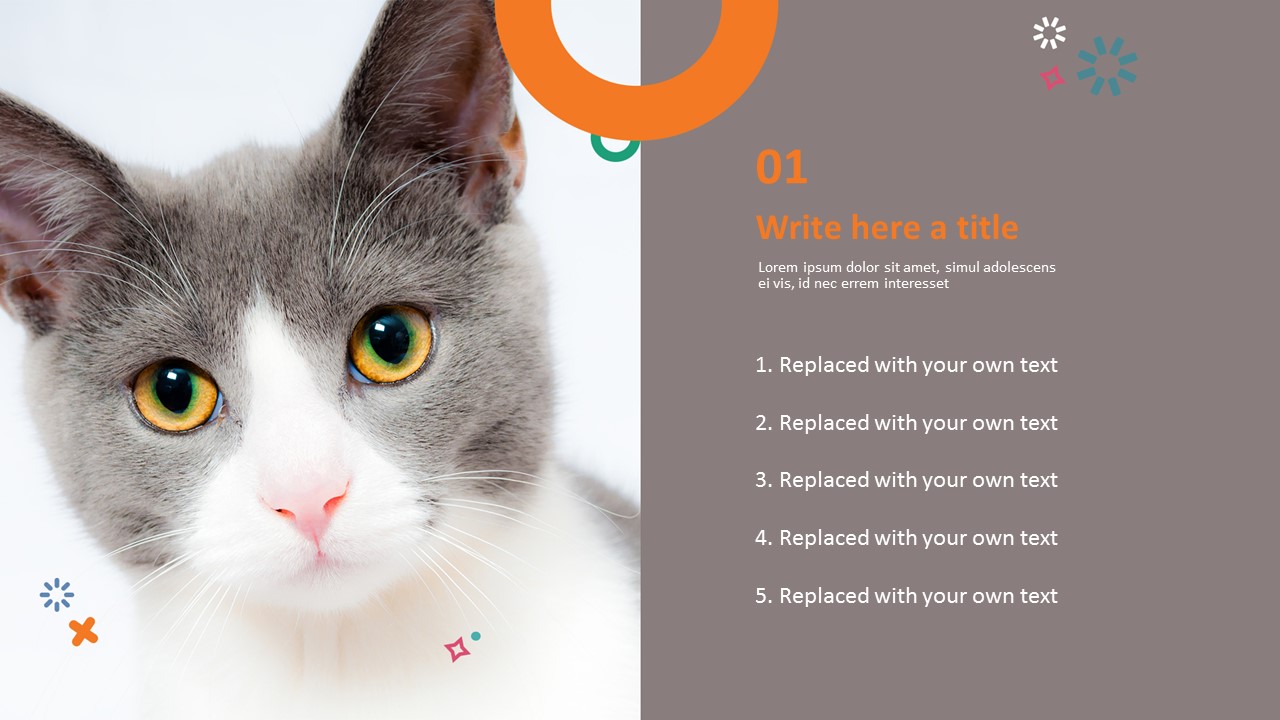 Kitty - Best PPT Template Free Download_03