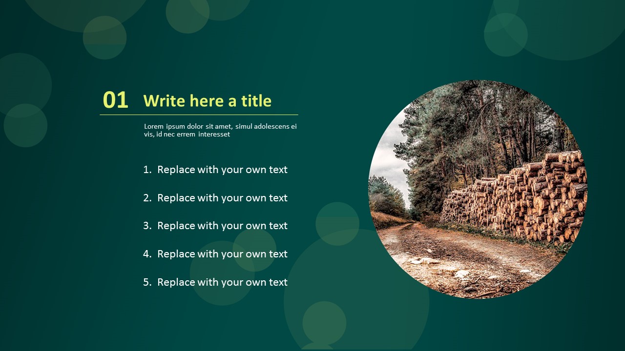 PPT 템플릿 무료 다운로드 - 목재 캠프_03