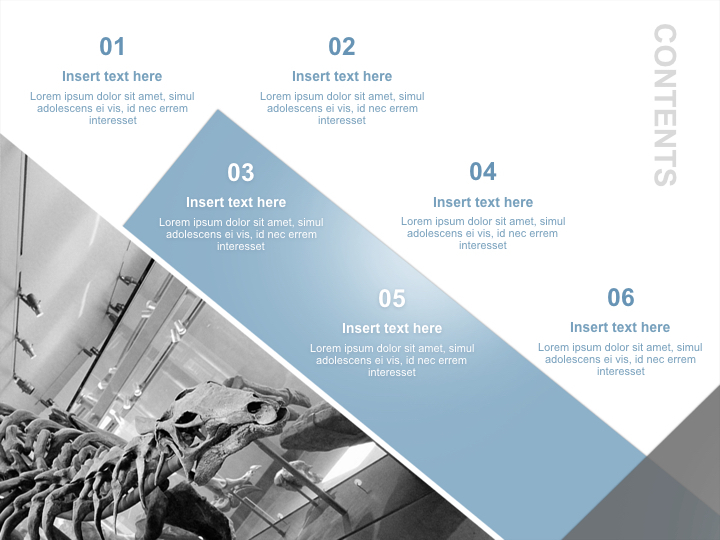 Sfondi keynote gratuiti - Osso di dinosauri_02