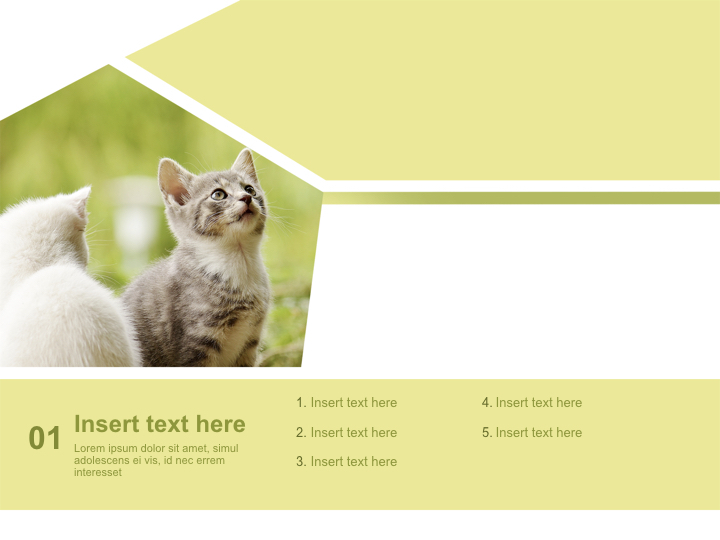 Kittens - Keynote Download Free_03