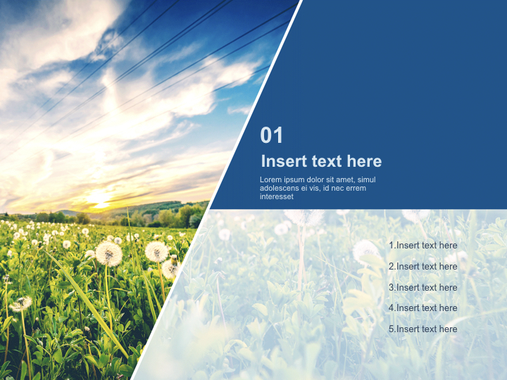 Keynote Template Free Download - Sunset on Leaves_03