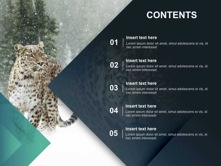 Leopard - Free Images for Presentations_02
