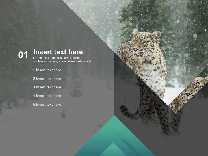 Leopard - Free Images for Presentations_03