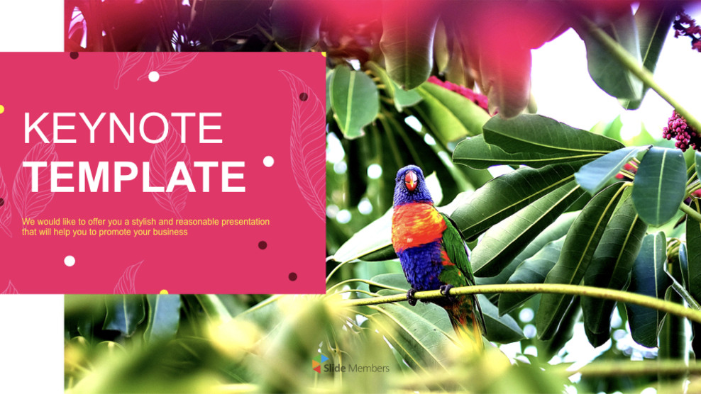 Keynote Images Free Download - Parrot_01