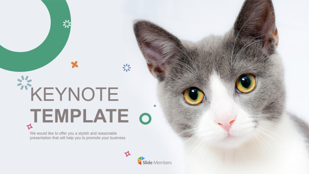 gatito - Plantillas gratuitas de Keynote de negocios_01