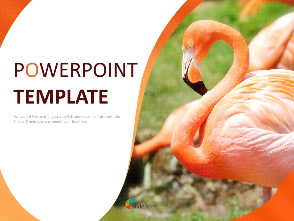 flamingo-free-google-slides-themes