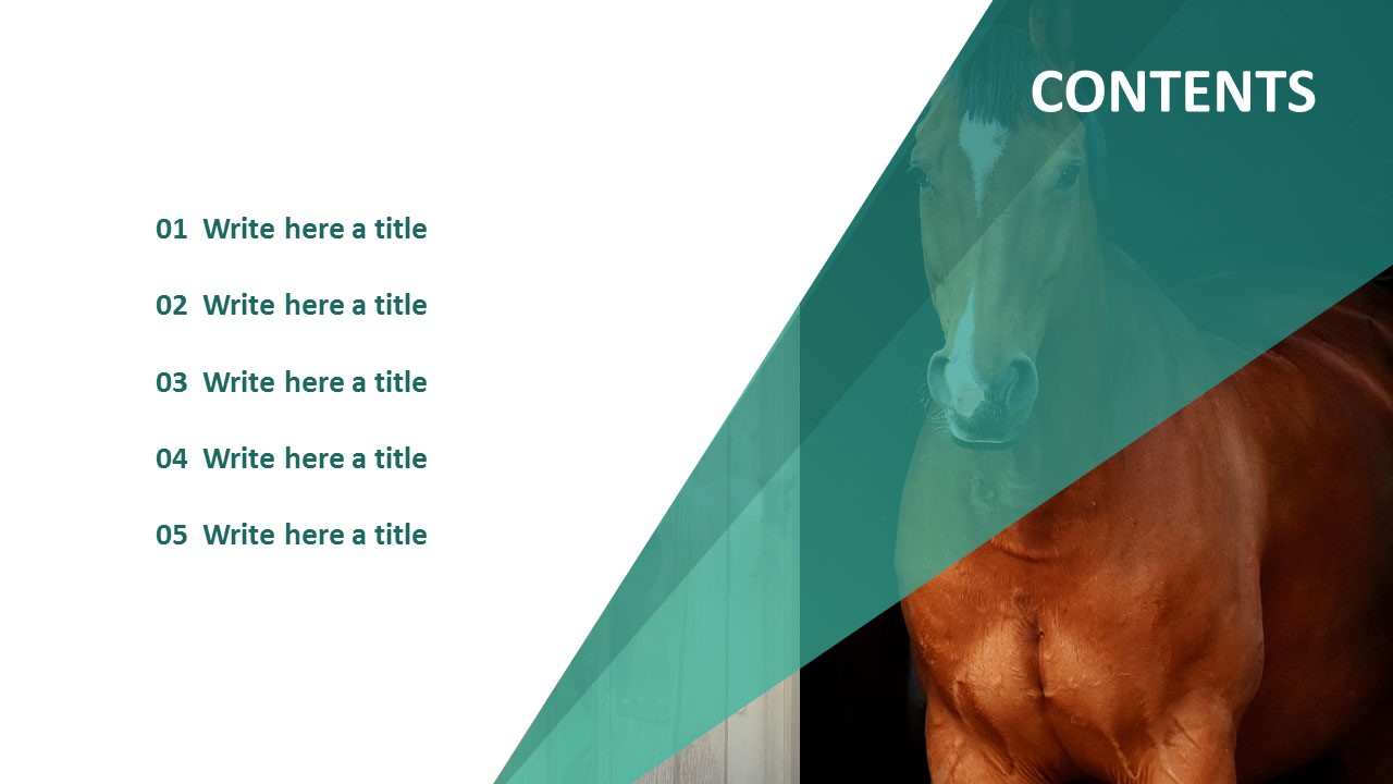 Free Google Slides Templates Horse Riding Club