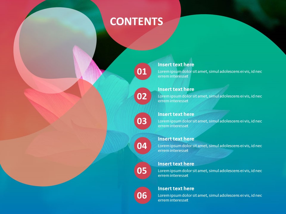 Lotus flower in the lake - Free Presentation Templates_02