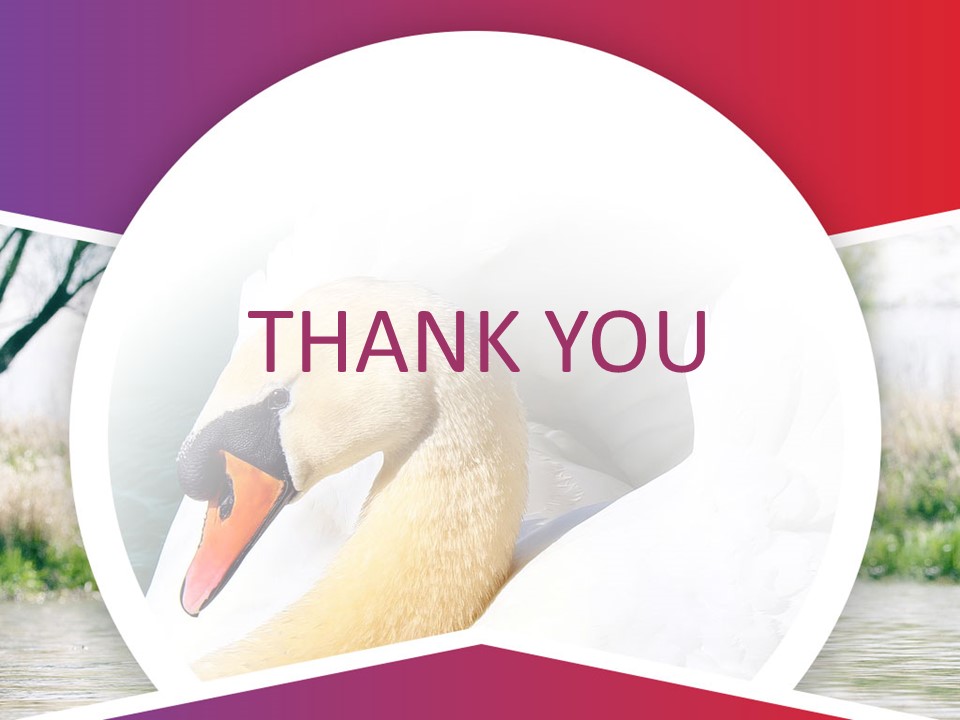 Swan Google Slides Template Free Download