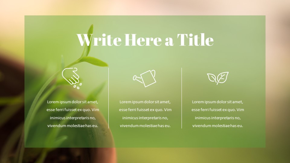 sprout Google Presentation SlidesNature