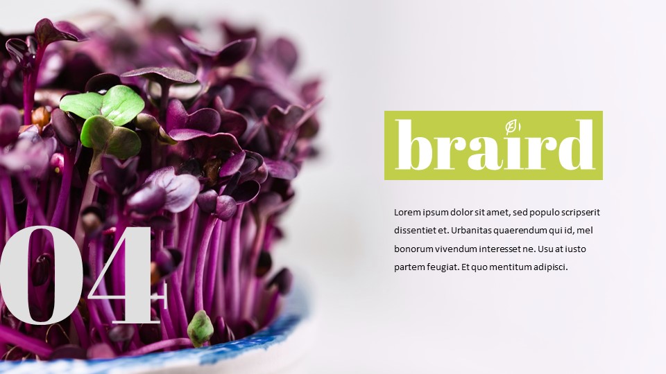 sprout Google Presentation SlidesNature