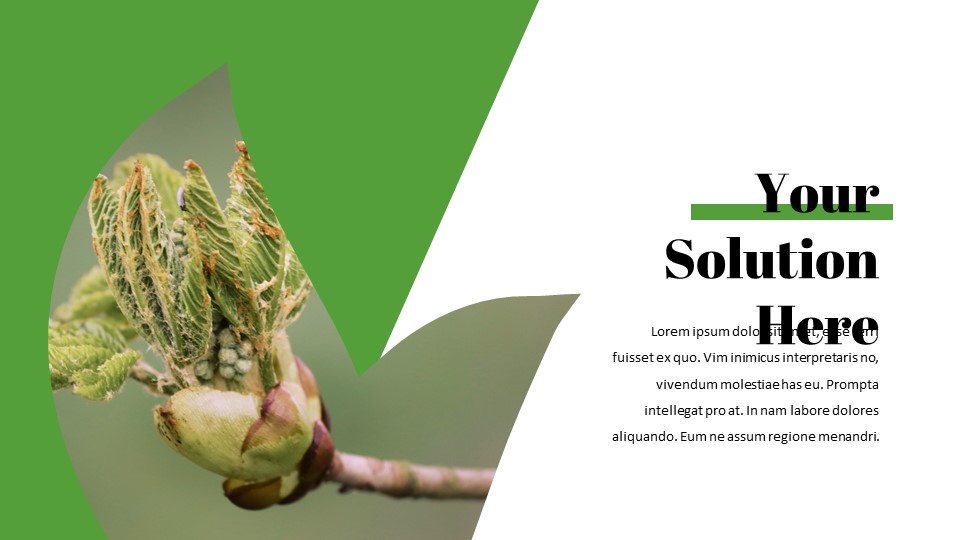 sprout Google Presentation SlidesNature