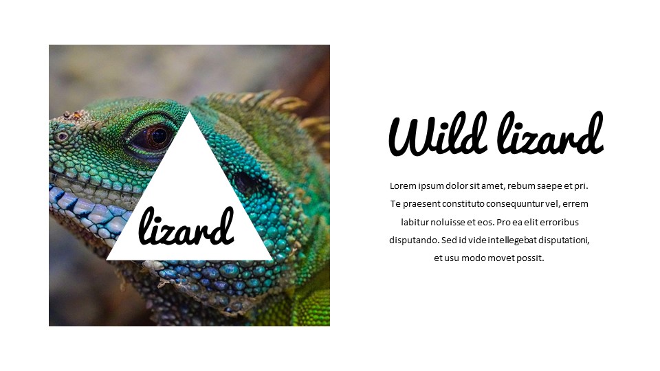 Jungle Simple Google Slides Templates