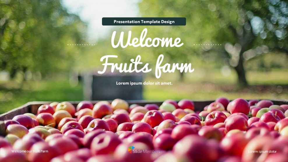 Fattoria di frutta I migliori diapositive di Google_01