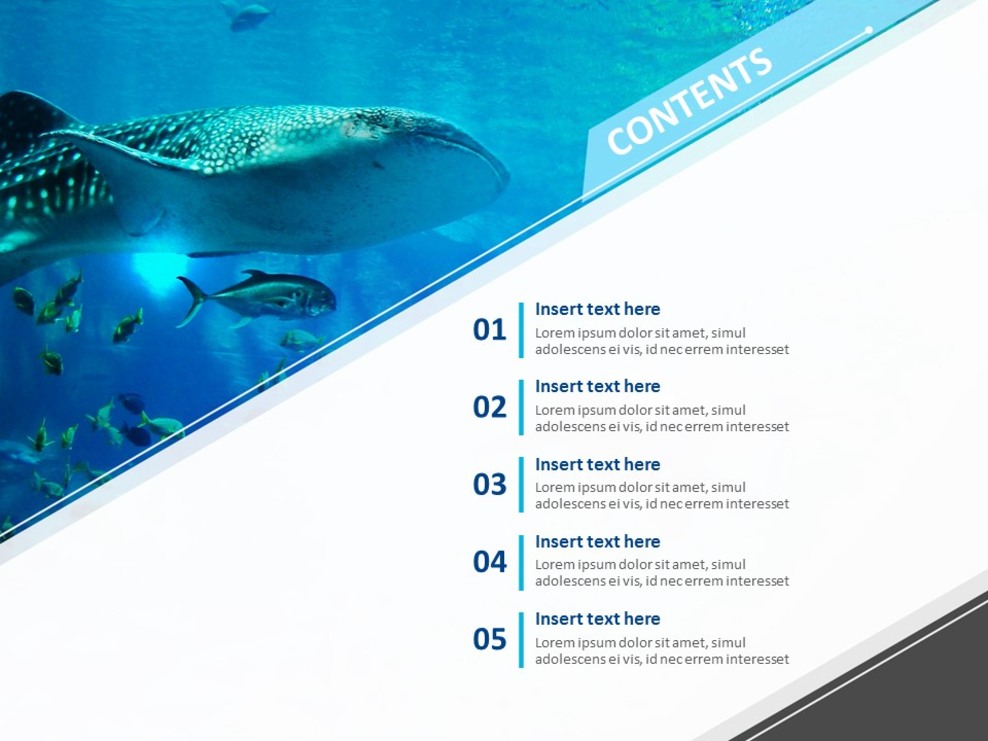 free-ppt-template-skin-scuba-diving