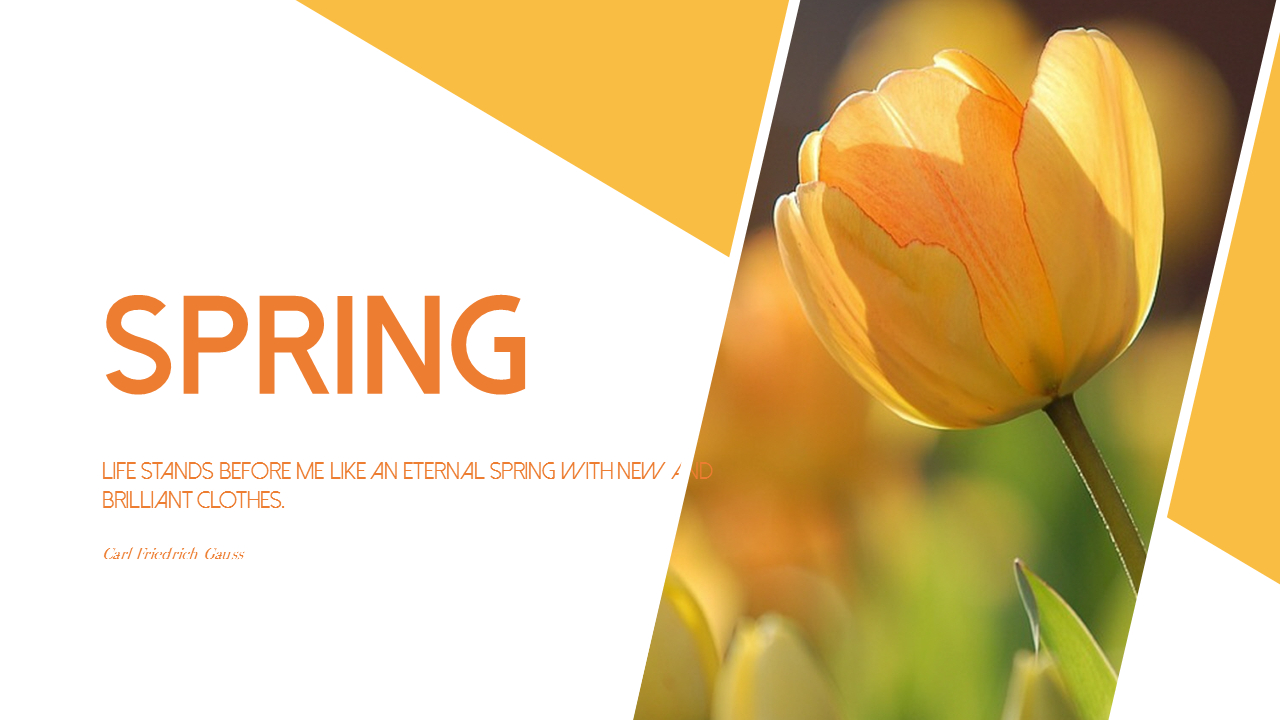 Spring|Theme Slides|Diagram