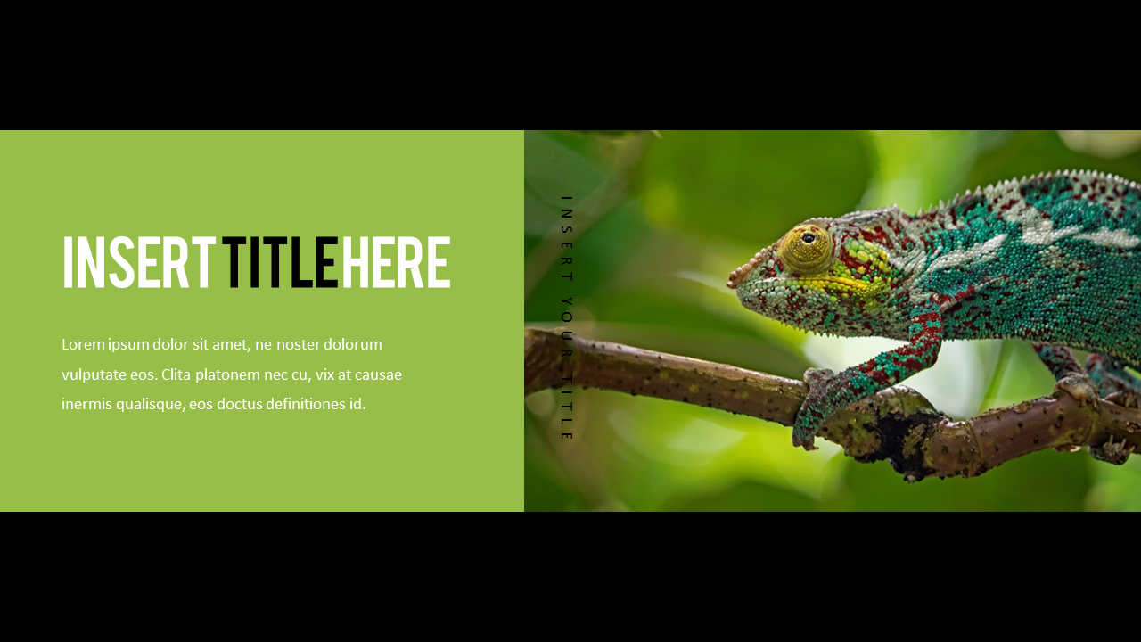 Reptiles Best PPT