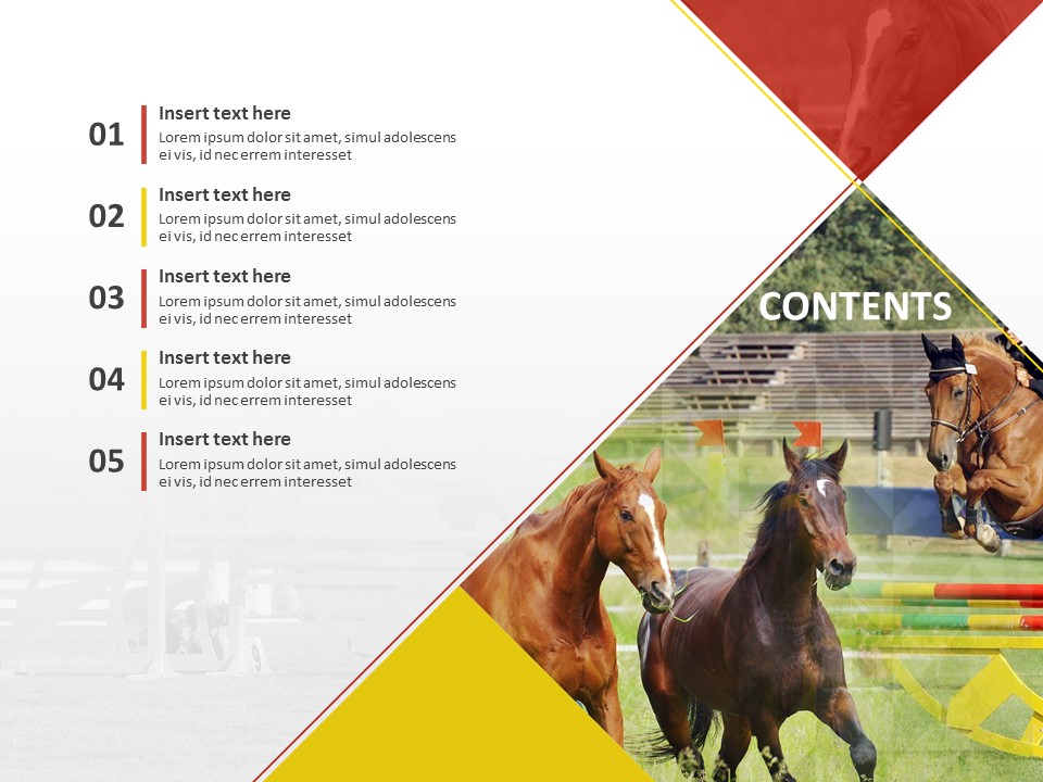 A Horse and Horseriding Free Powerpoint Templates Design