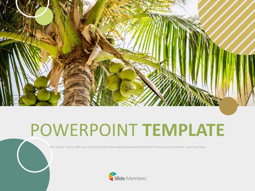 Palm Trees and Coconuts - Free Template Design palm-trees-and-coconuts-free-template-design
